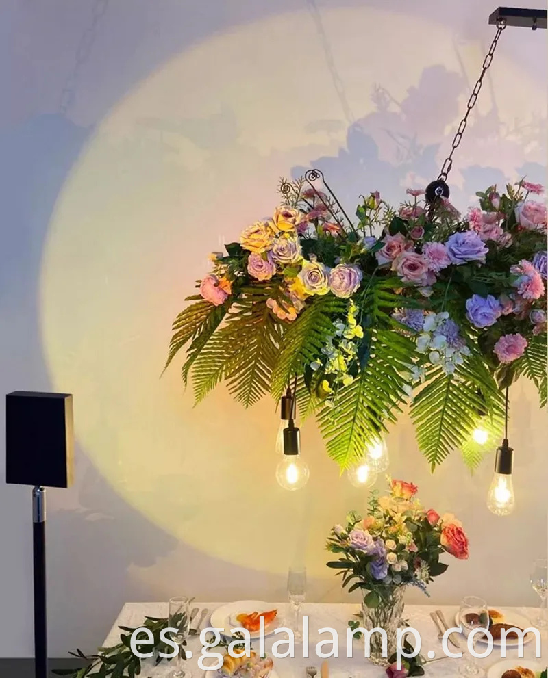 Elegante luz de lámpara LED grande para decoración de restaurantes y jardines